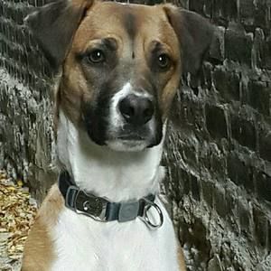 Meet your Posher, Leah